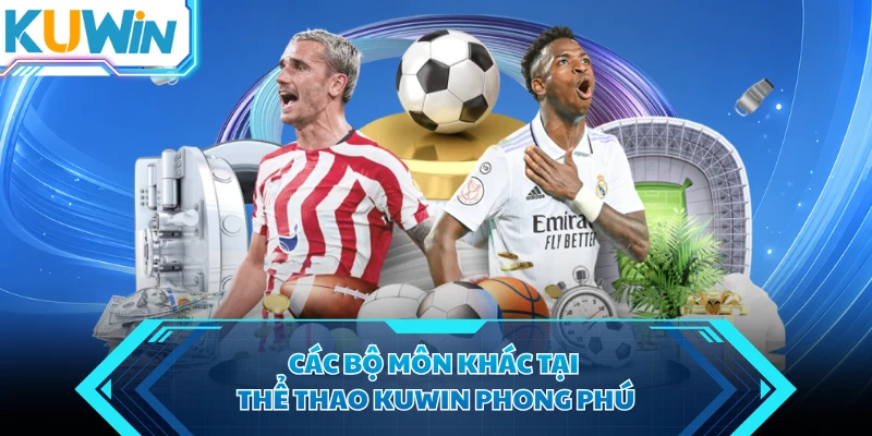 cac bo mon khac tai the thao kuwin phong phu cac bo mon khac tai the thao kuwin phong phu