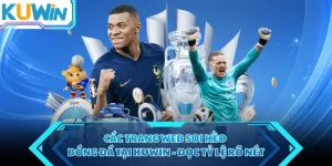 cac trang web soi keo bong da tai kuwin doc ty le ro net