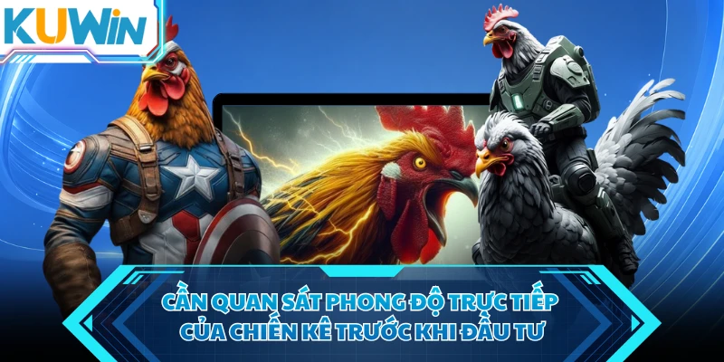 can quan sat phong do truc tiep cua chien ke truoc khi dau tu can quan sat phong do truc tiep cua chien ke truoc khi dau tu