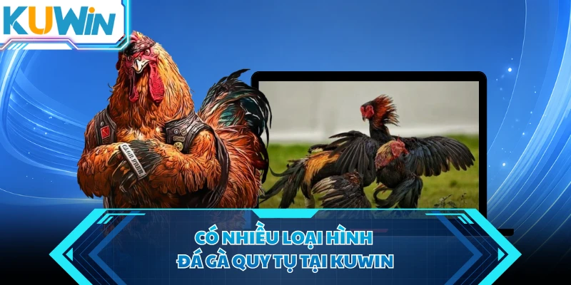 co nhieu loai hinh da ga quy tu tai kuwin co nhieu loai hinh da ga quy tu tai kuwin