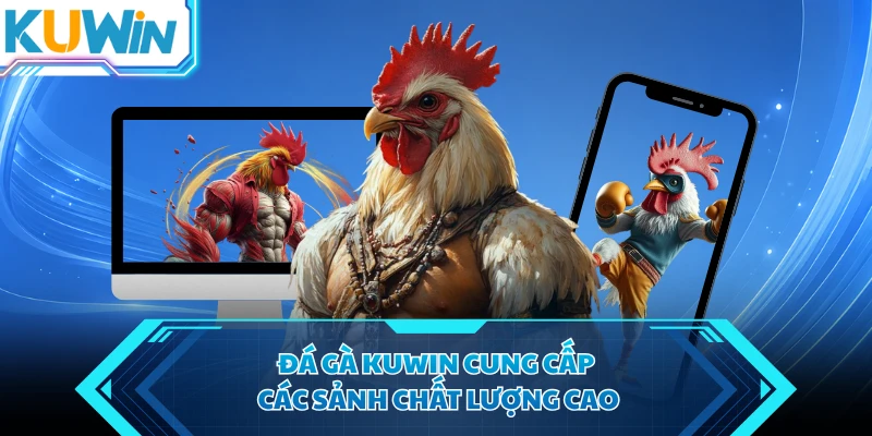 da ga kuwin cung cap cac sanh chat luong cao da ga kuwin cung cap cac sanh chat luong cao