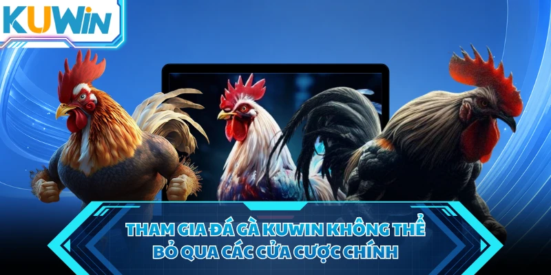 tham gia da ga kuwin khong the bo qua cac cua cuoc chinh tham gia da ga kuwin khong the bo qua cac cua cuoc chinh